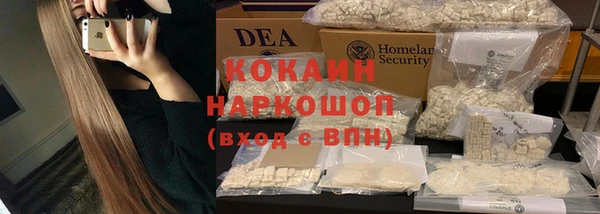 мдпв Ладушкин