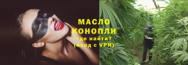 мдпв Ладушкин