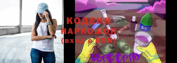 мдпв Ладушкин
