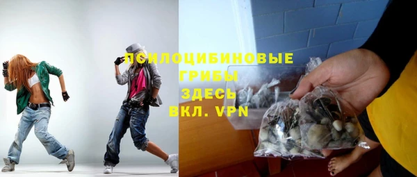 ПСИЛОЦИБИНОВЫЕ ГРИБЫ Лагань