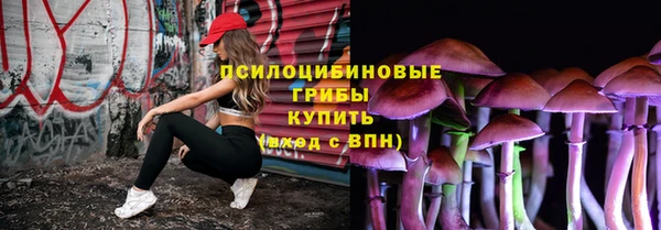 ПСИЛОЦИБИНОВЫЕ ГРИБЫ Лагань