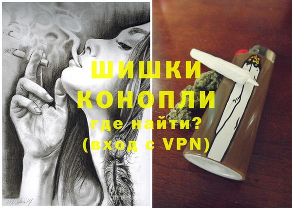 ПСИЛОЦИБИНОВЫЕ ГРИБЫ Лагань