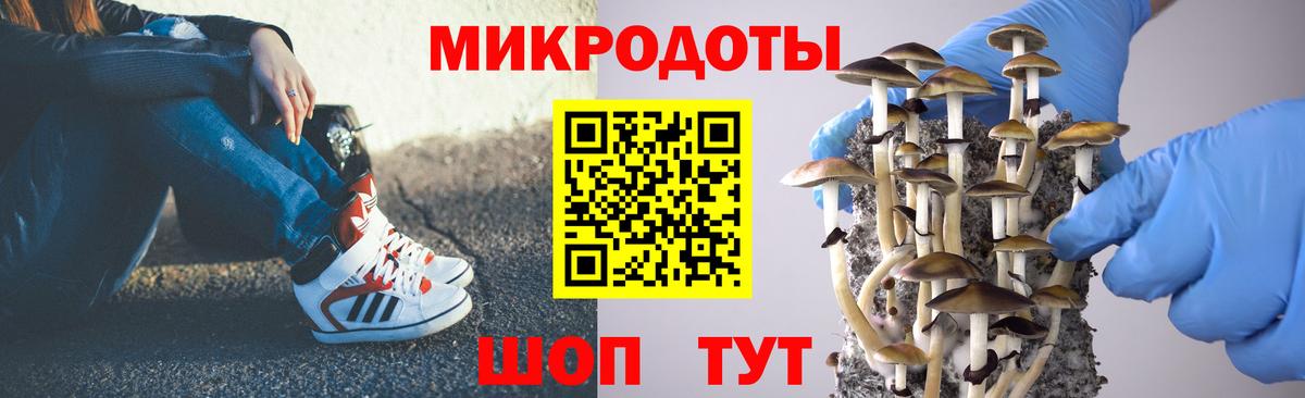 Янаул  Галлюциногенные грибы Psilocybe  Вход с VPN 